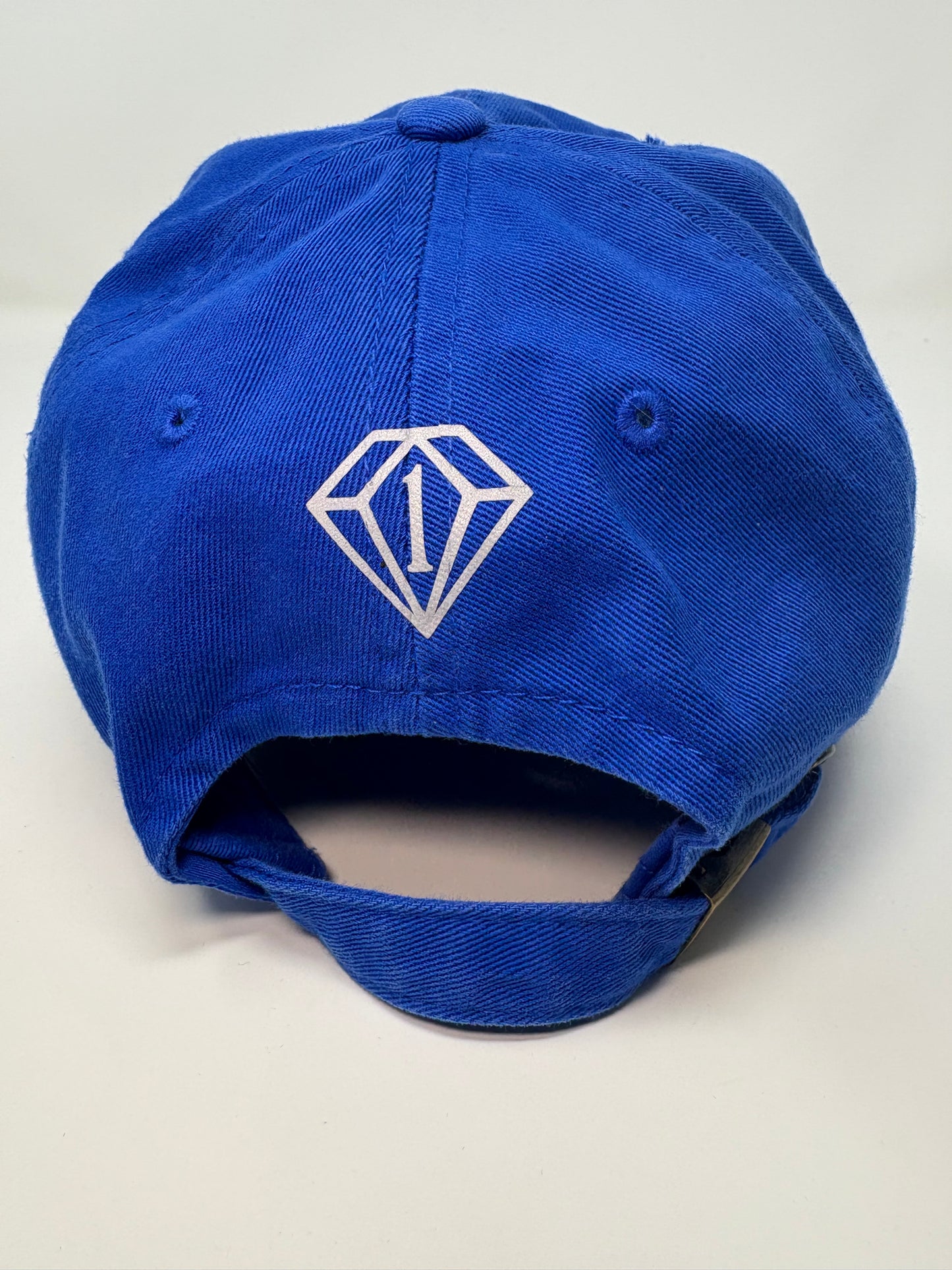 Fearless & Dope dad hat ( blue )
