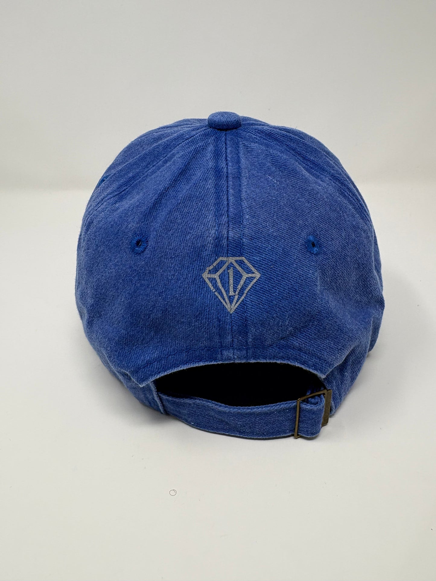 “Free & Fearless” dad hat ( blue )