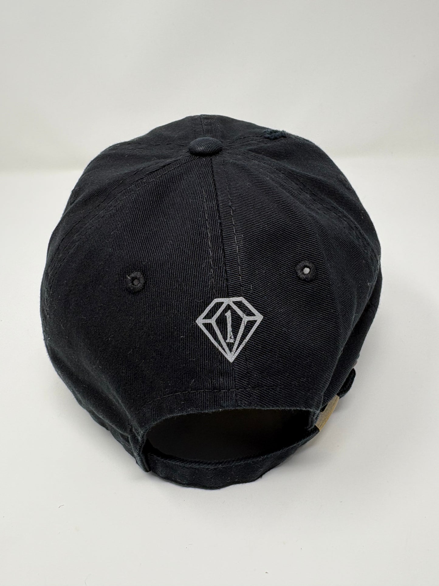 “Dream fearless” MLK distressed dad hat